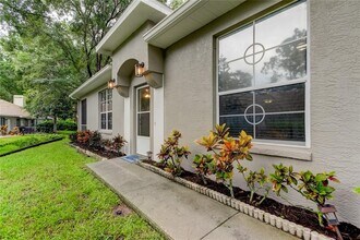 3147 Brooker Creek Way in Palm Harbor, FL - Building Photo - Building Photo