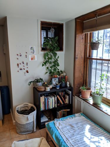 1629 Newton St NW, Unit Unit B in Washington, DC - Building Photo