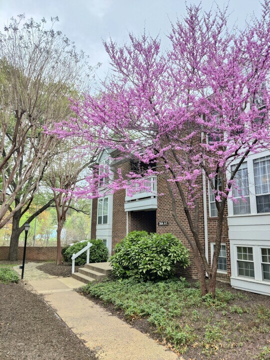 2614 S Arlington Mill Dr in Arlington, VA - Building Photo