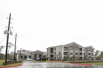 Riverbrook Village - 55+ Active Senior Living in Humble, TX - Building Photo - Building Photo