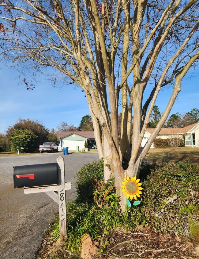 3845 Highland St in Gulf Shores, AL - Building Photo - Building Photo