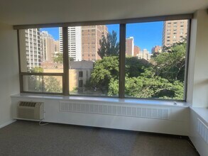1360 N Sandburg Terrace in Chicago, IL - Building Photo - Building Photo