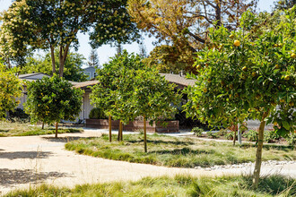 Madrone in Mountain View, CA - Foto de edificio - Building Photo