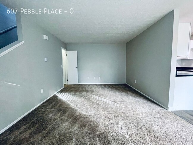 607 Pebble Pl Dr in Delaware, OH - Building Photo - Building Photo