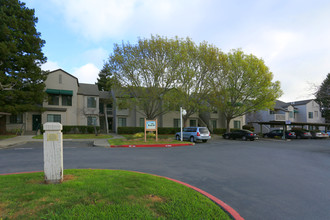 Pickleweed Apartments in Mill Valley, CA - Building Photo - Building Photo