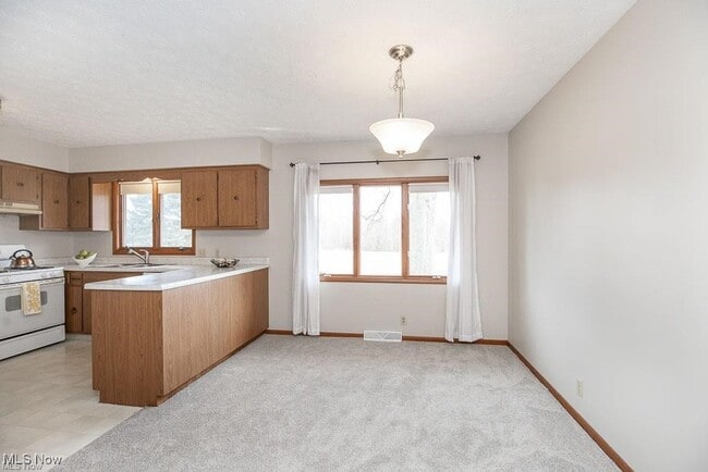 10791 W River Rd in Columbia Station, OH - Foto de edificio - Building Photo