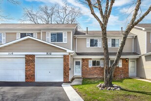 532 Alton Ct in Carol Stream, IL - Building Photo