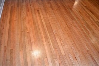 1438 Althea Dr in Houston, TX - Building Photo - Building Photo