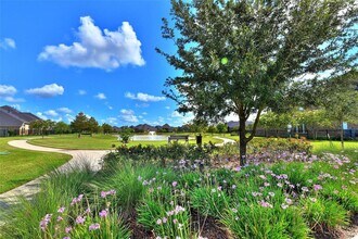 27906 Colonial Point Dr in Katy, TX - Building Photo - Building Photo