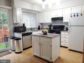 14721 Basingstoke Loop in Centreville, VA - Building Photo