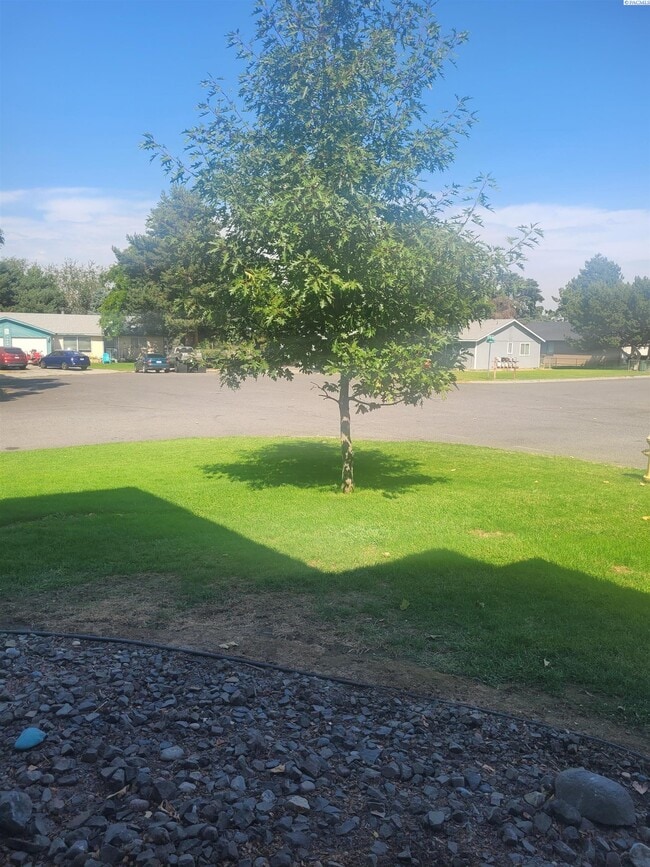910 S Johnson St in Kennewick, WA - Building Photo - Building Photo