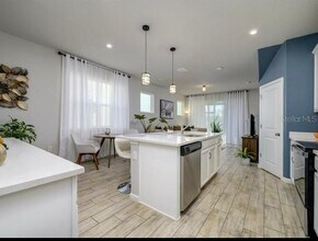 4272 Cloud Hopper Wy in Lutz, FL - Building Photo - Building Photo