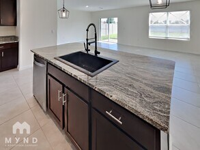 33996 Jasper Stone Dr in Wesley Chapel, FL - Building Photo - Building Photo