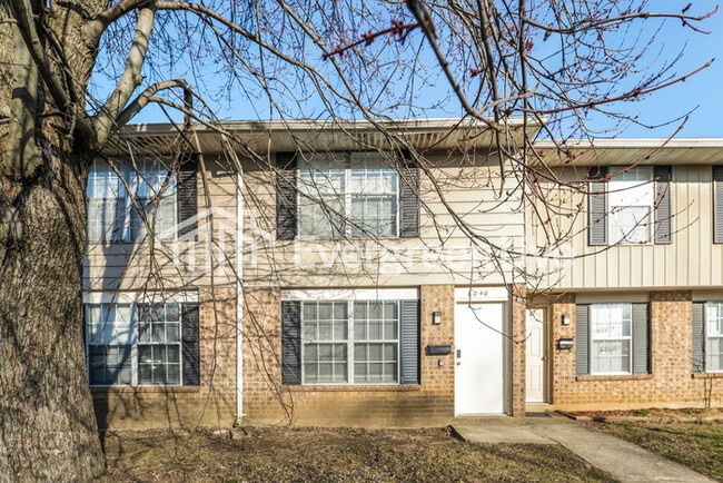 property at 8040 Mt Everest St