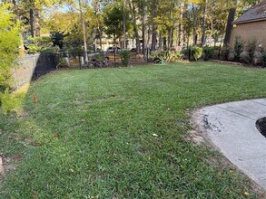 236 Springs Edge Dr in Montgomery, TX - Building Photo - Building Photo