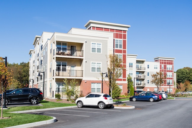 River Birch at Watertown