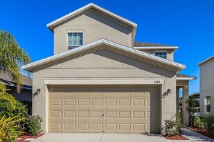 1048 Seminole Sky Dr in Ruskin, FL - Building Photo