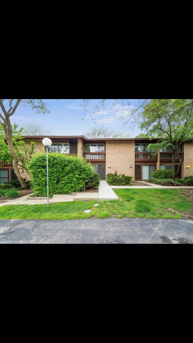 5951 Meadow Dr Rentals in Lisle, IL