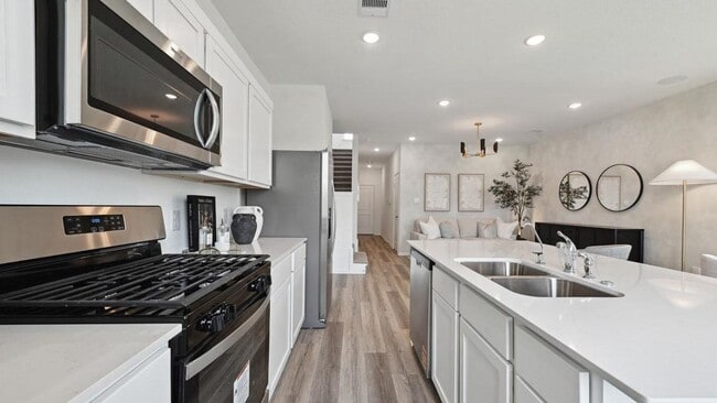 1003 Moon Drop Ln in Houston, TX - Building Photo - Building Photo