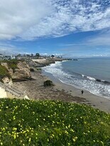 337 Alta Ave, Unit JADU in Santa Cruz, CA - Building Photo