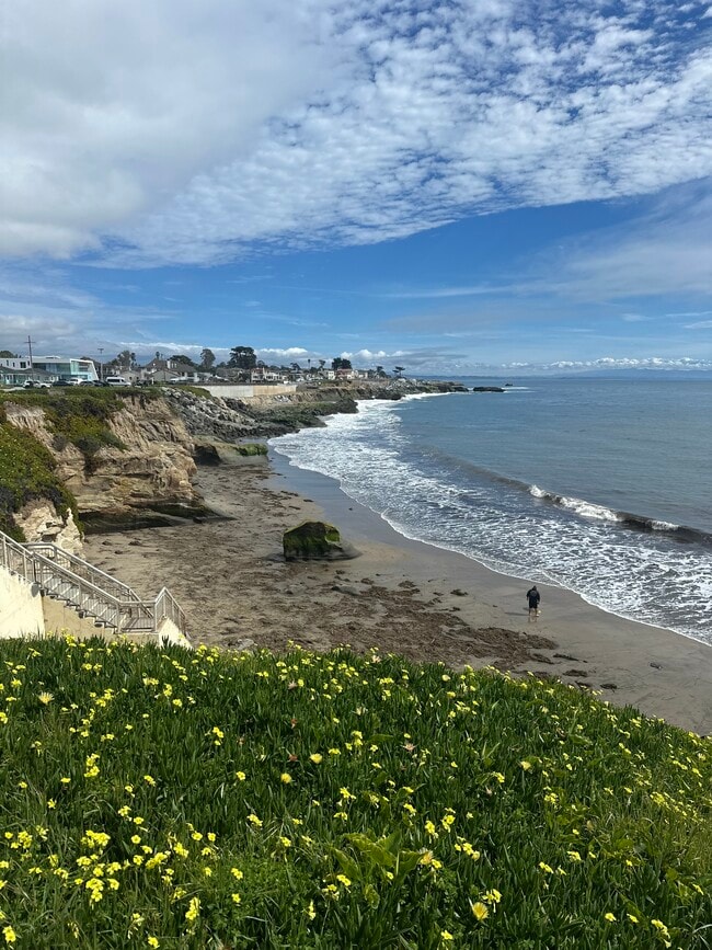 337 Alta Ave, Unit JADU