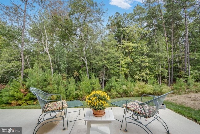 22657 Deep Woods Rd in Milton, DE - Building Photo - Building Photo