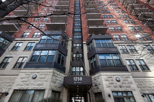 1250 S Indiana Ave, Unit 306 in Chicago, IL - Foto de edificio