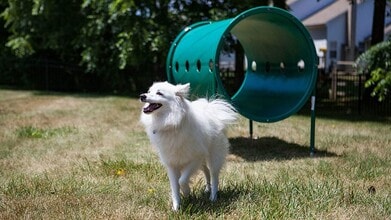 Brooksedge in Reynoldsburg, OH - Building Photo - Building Photo