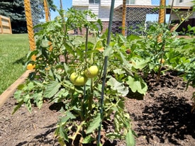 8840 W Jewell Ave in Denver, CO - Building Photo