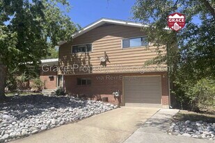 10541 Livingston Dr in Northglenn, CO - Building Photo