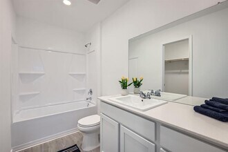 206 Sambre St in Kyle, TX - Building Photo - Building Photo