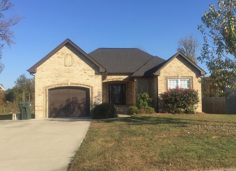 415 Palamino Ln in Springfield, TN - Building Photo