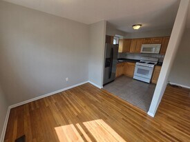 214 Robina St in Philadelphia, PA - Building Photo