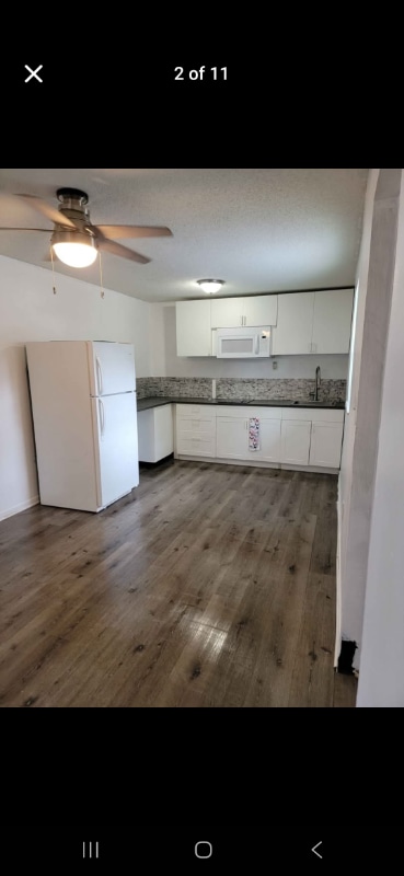 7101 Raleigh St in Hollywood, FL - Building Photo - Building Photo