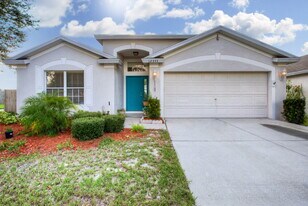 12333 Hawkeye Point Pl in Riverview, FL - Building Photo