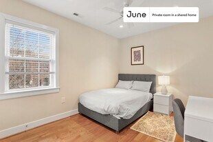 Room in Shared 3 bed/3 bath home in Washington, DC - Building Photo