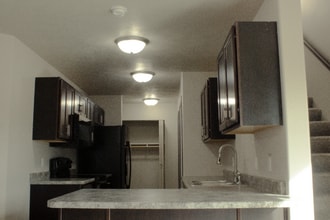 293 Tiger Way Ct in Harrisburg, SD - Foto de edificio - Building Photo