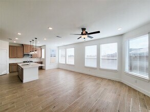 10058 Rosette Dr in Rosharon, TX - Building Photo - Building Photo