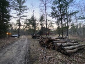 10317 Slide-A-Ways Trail in Grayling, MI - Building Photo - Building Photo