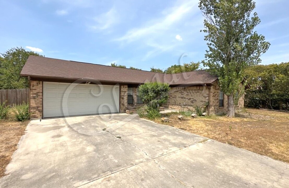 709 Beaver Trail in Harker Heights, TX - Building Photo