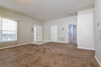 15819 Stags Leap Dr in Lutz, FL - Building Photo - Building Photo