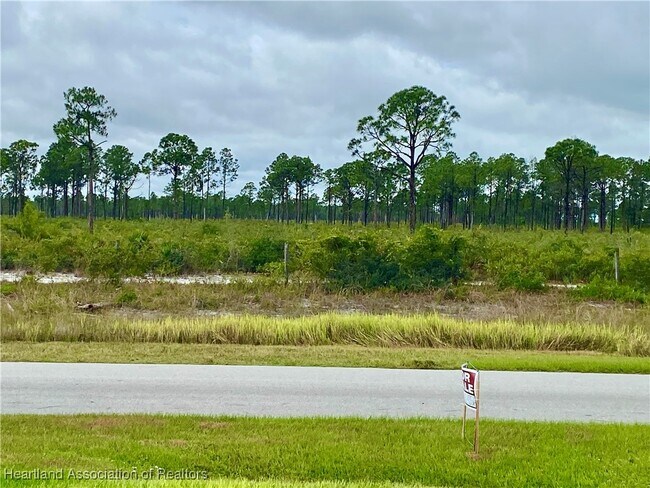 73 Tobler Blvd NW in Lake Placid, FL - Building Photo - Building Photo
