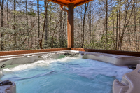 12 Black Bear Dr in Ellijay, GA - Foto de edificio - Building Photo