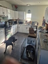 353 S Ludington St in Columbus, WI - Building Photo - Building Photo