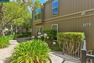 2075 Ascot Dr in Moraga, CA - Building Photo