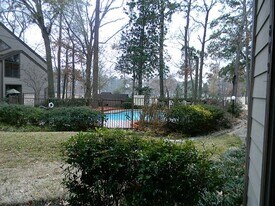 12900 Walden Rd, Unit 809H in Montgomery, TX - Building Photo
