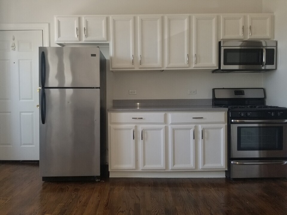 651 N Paulina St in Chicago, IL - Building Photo