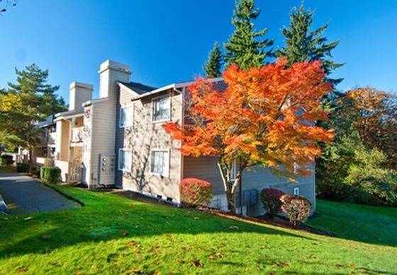 Ballinger Commons Apartments in Shoreline, WA - Foto de edificio