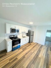 50 E Bringhurst St in Philadelphia, PA - Building Photo - Building Photo