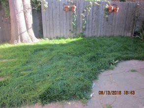 2840 Irving St in Denver, CO - Foto de edificio - Building Photo